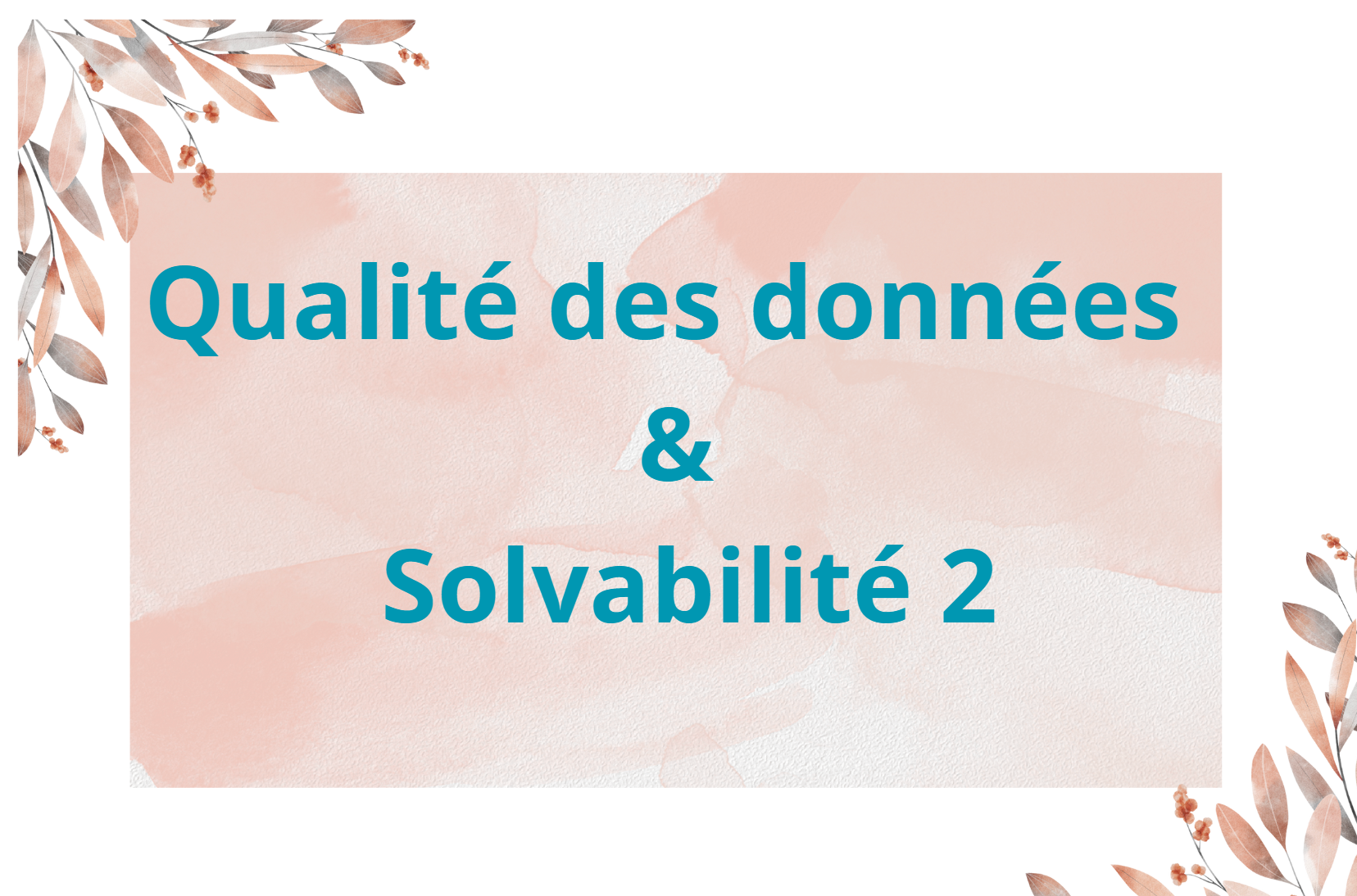 Qualité des données & Solvabilité 2